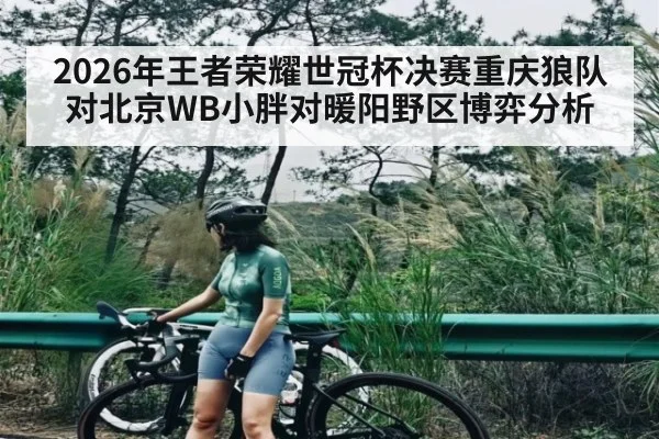 2026年王者荣耀世冠杯决赛重庆狼队对北京WB小胖对暖阳野区博弈分析
